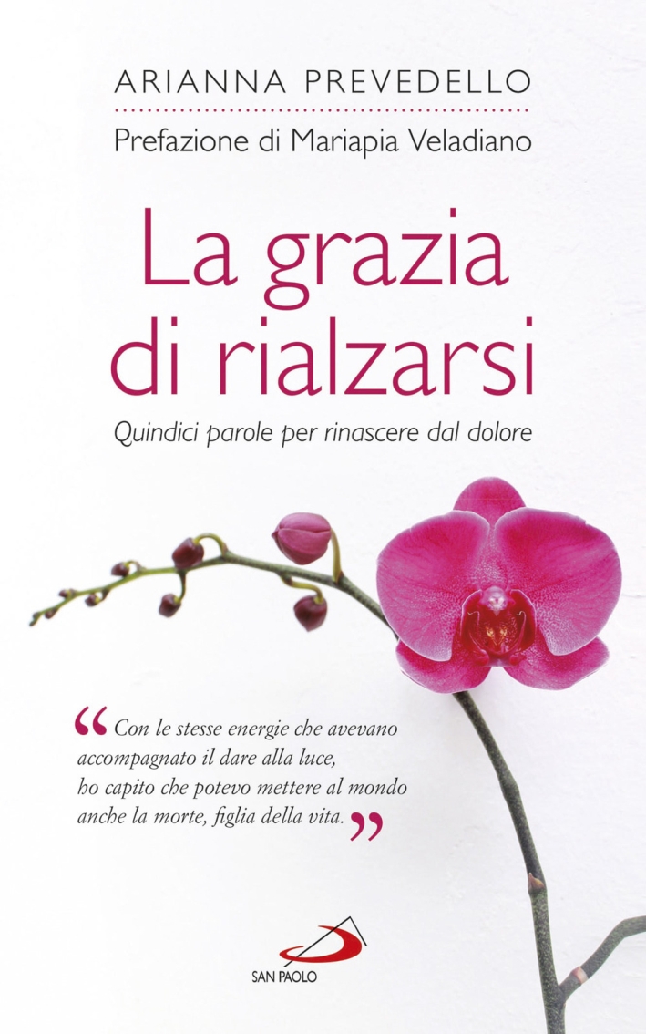 La grazia di rialzarsi. Quindici parole per rinascere dal dolore La grazia di rialzarsi. Quindici parole per rinascere dal dolore