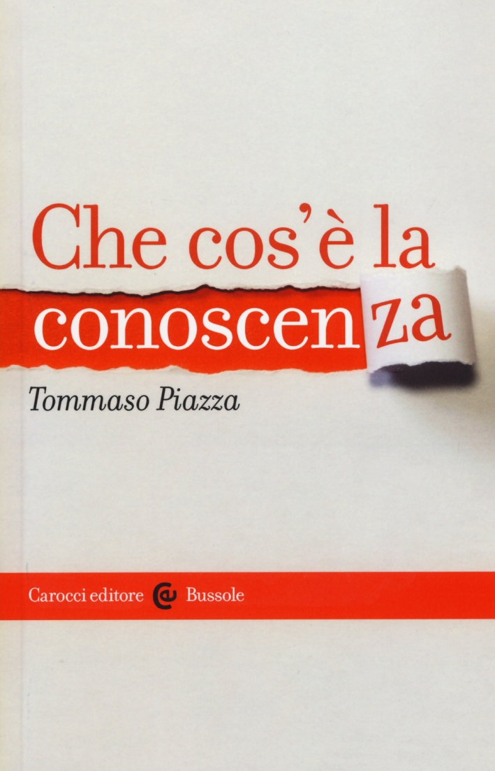 Che cos'è la conoscenza Che cos'è la conoscenza