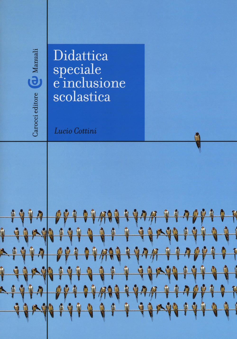 Didattica speciale e inclusione scolastica Didattica speciale e inclusione scolastica