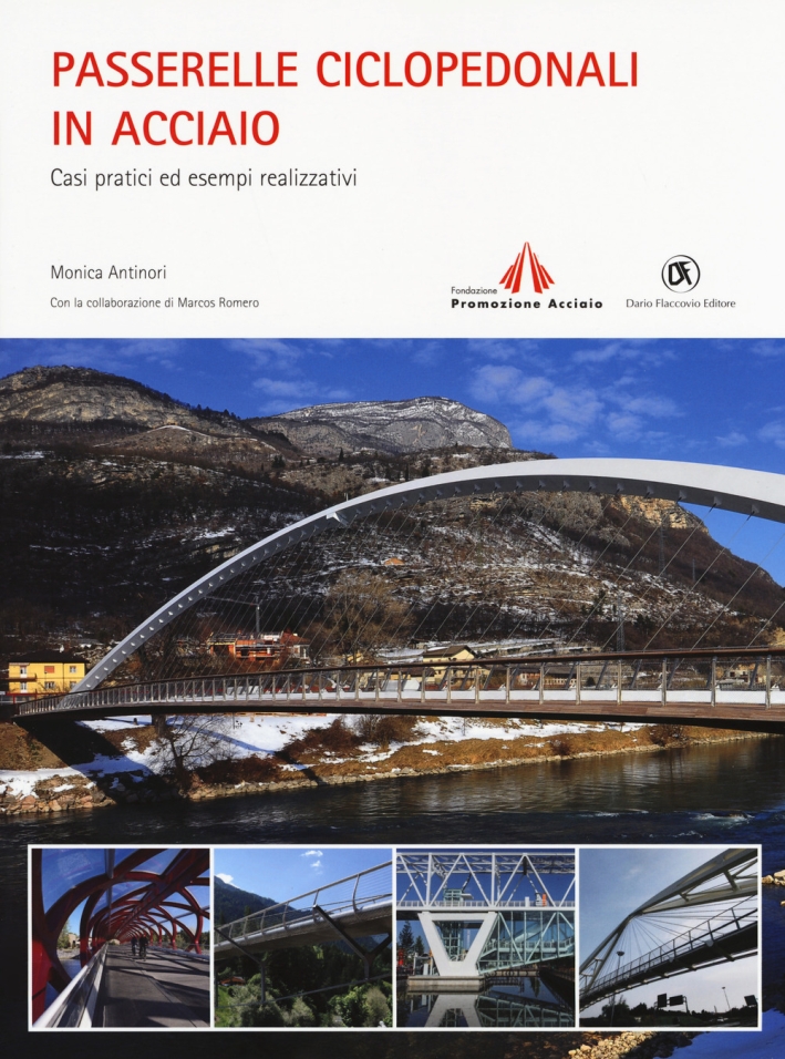 Passerelle ciclopedonali in acciaio. Casi pratici ed esempi realizzativi Passerelle ciclopedonali in acciaio. Casi pratici ed esempi realizzativi