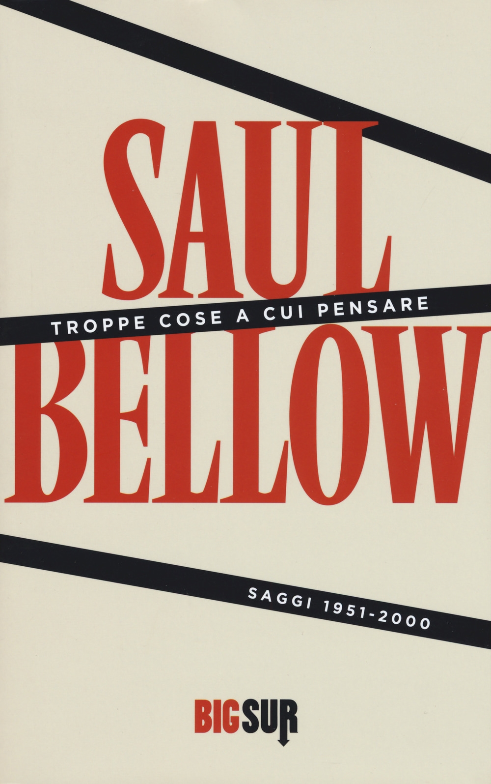 Troppe cose a cui pensare. Saggi 1951-2000 Troppe cose a cui pensare. Saggi 1951-2000
