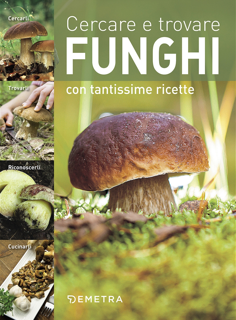 Cercare e trovare funghi. Cercarli, trovarli, riconoscerli, cucinarli Cercare e trovare funghi. Cercarli, trovarli, riconoscerli, cucinarli