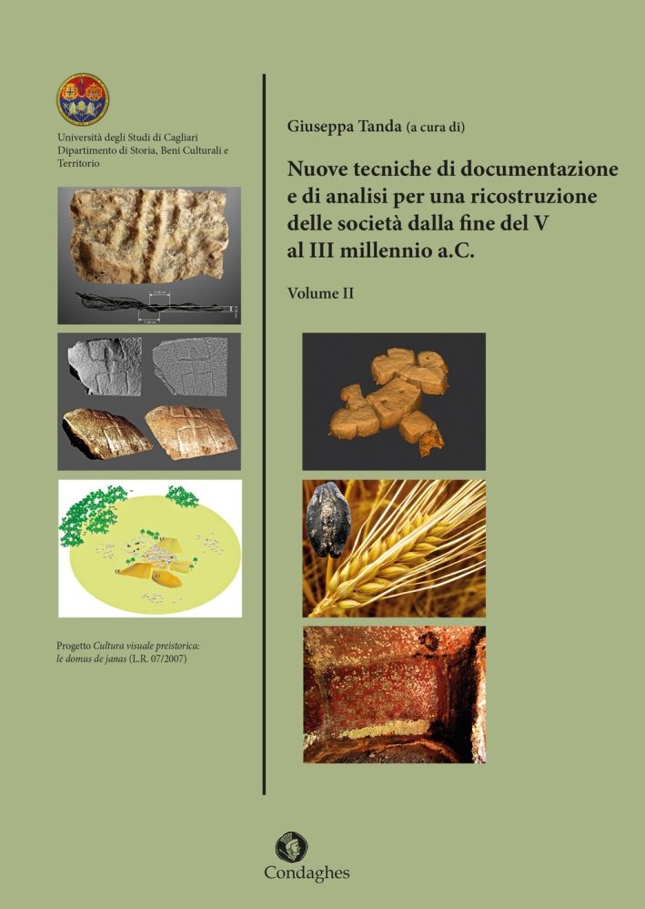Nuove tecniche di documentazione e di analisi per una ricostruzione delle società dalla fine del V al III millennio a.C. . Vol. 2 Nuove tecniche di documentazione e di analisi per una ricostruzione delle società dalla fine del V al III millennio a.C. . Vol. 2