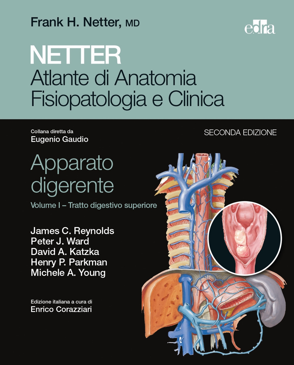 Netter. Atlante di anatomia fisiopatologia e clinica. Apparato digerente. Vol. 1: Tratto digestivo superiore Netter. Atlante di anatomia fisiopatologia e clinica. Apparato digerente. Vol. 1: Tratto digestivo superiore
