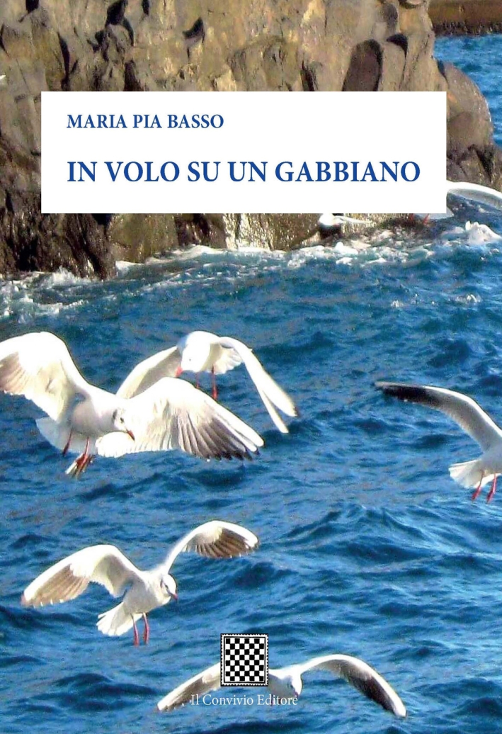 In volo su un gabbiano In volo su un gabbiano