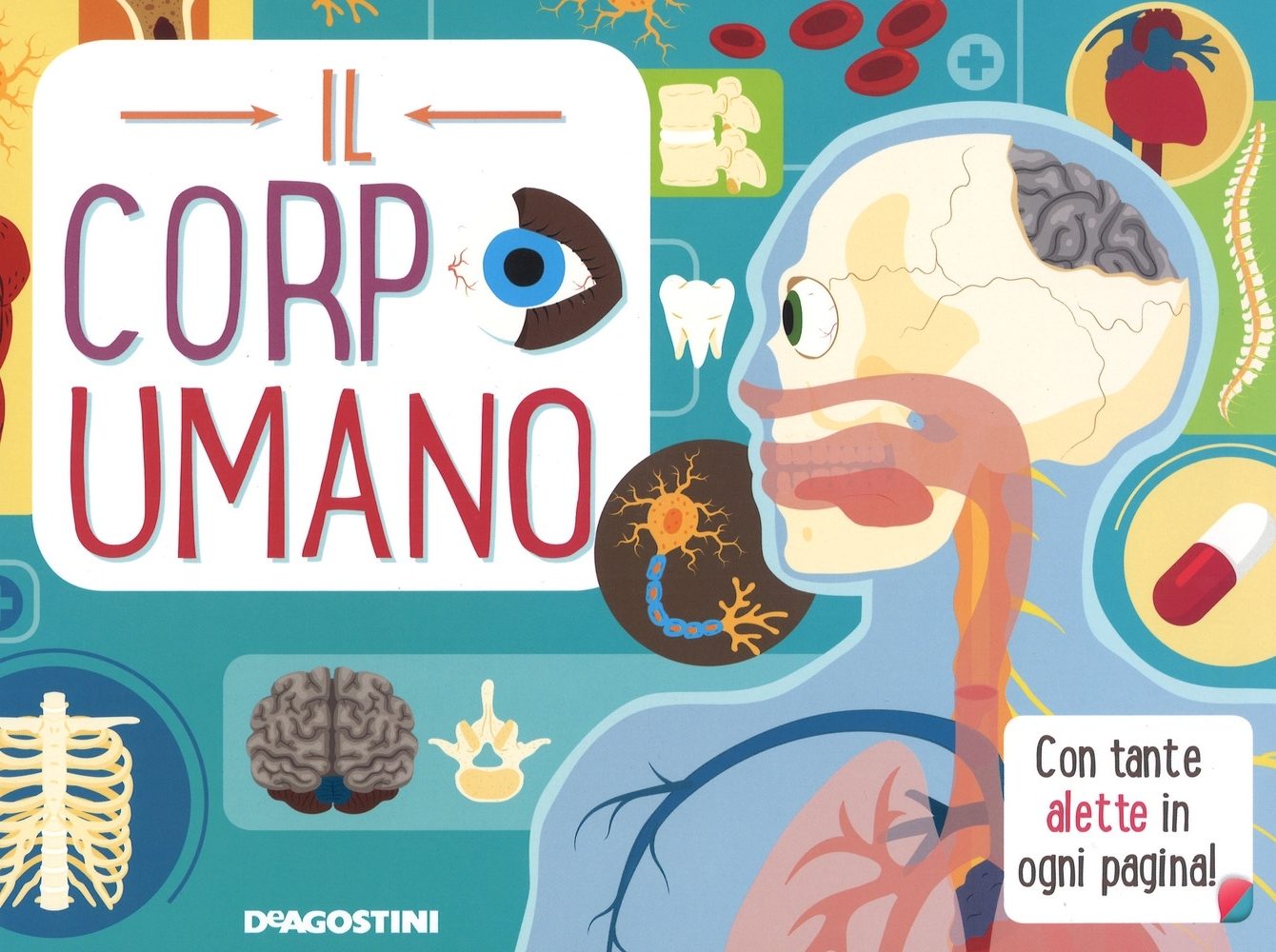 Il corpo umano. Alza e scopri. Ediz. a colori Il corpo umano. Alza e scopri. Ediz. a colori