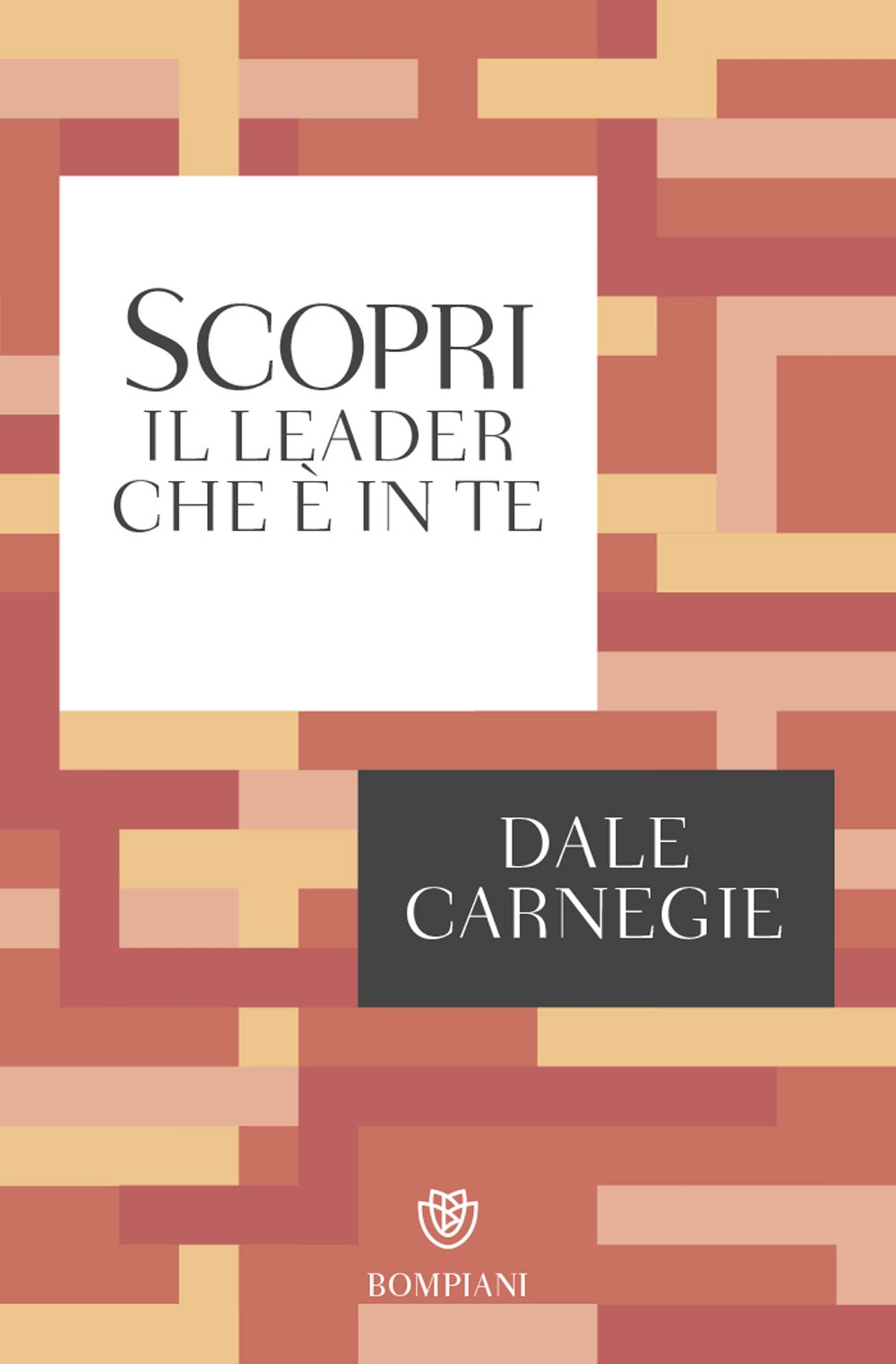 Scopri il leader che è in te Scopri il leader che è in te