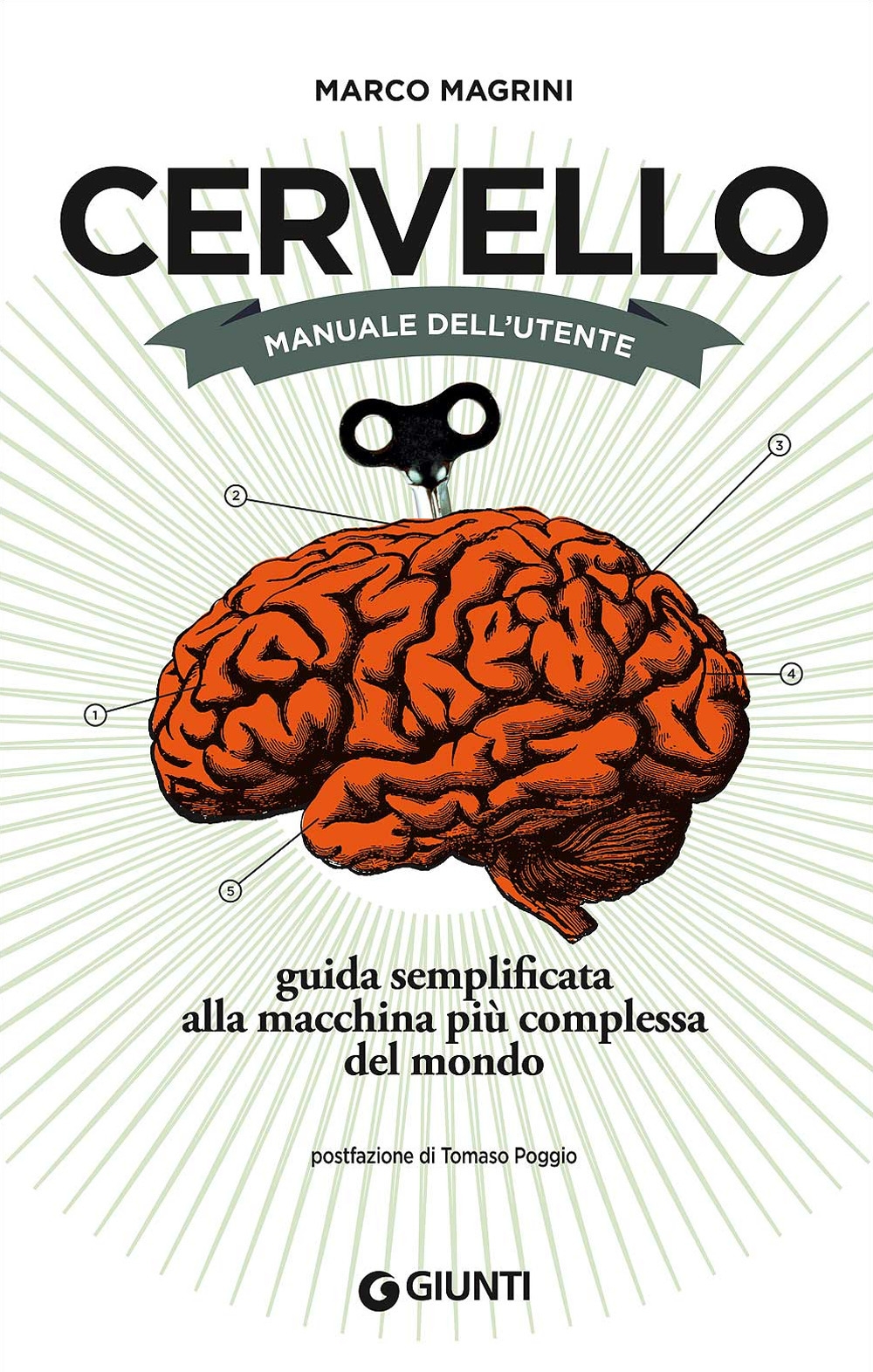Cervello. Manuale dell'utente Cervello. Manuale dell'utente