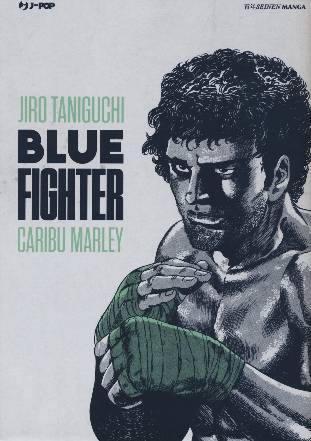 Blue fighter Blue fighter