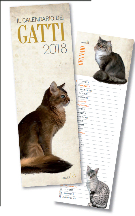 Calendario 2018 Gatti Calendario 2018 Gatti