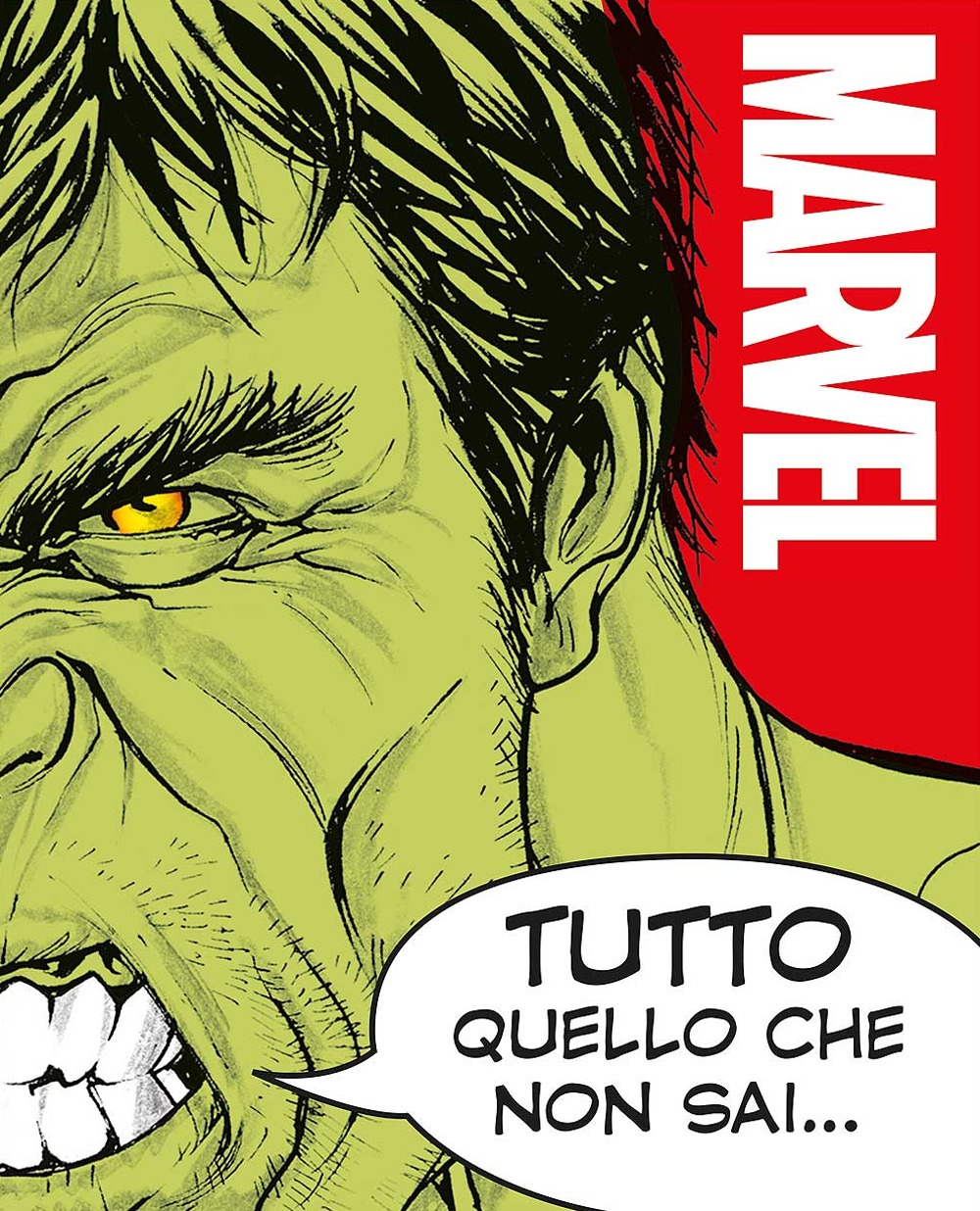 Tutto quello che non sai su Marvel. Enciclopedia dei personaggi Tutto quello che non sai su Marvel. Enciclopedia dei personaggi
