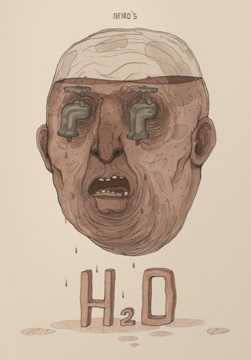 H2O. Ediz. illustrata H2O. Ediz. illustrata