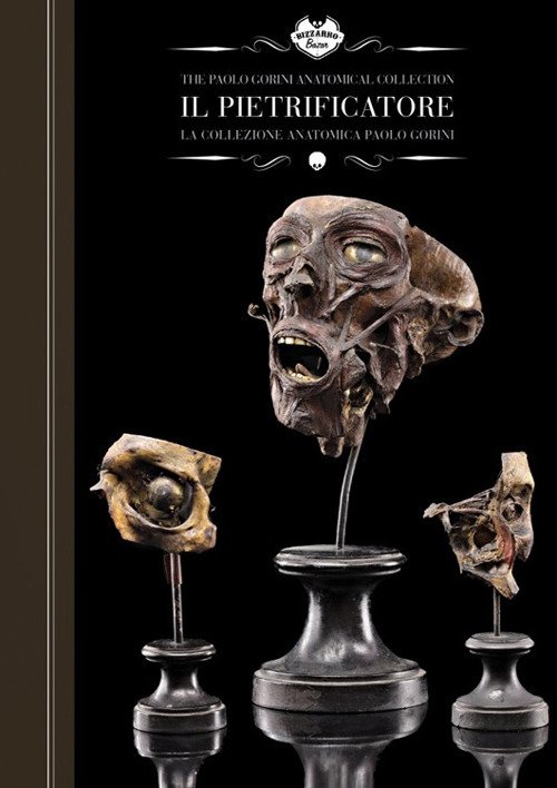Il pietrificatore. La collezione anatomica Il pietrificatore. La collezione anatomica