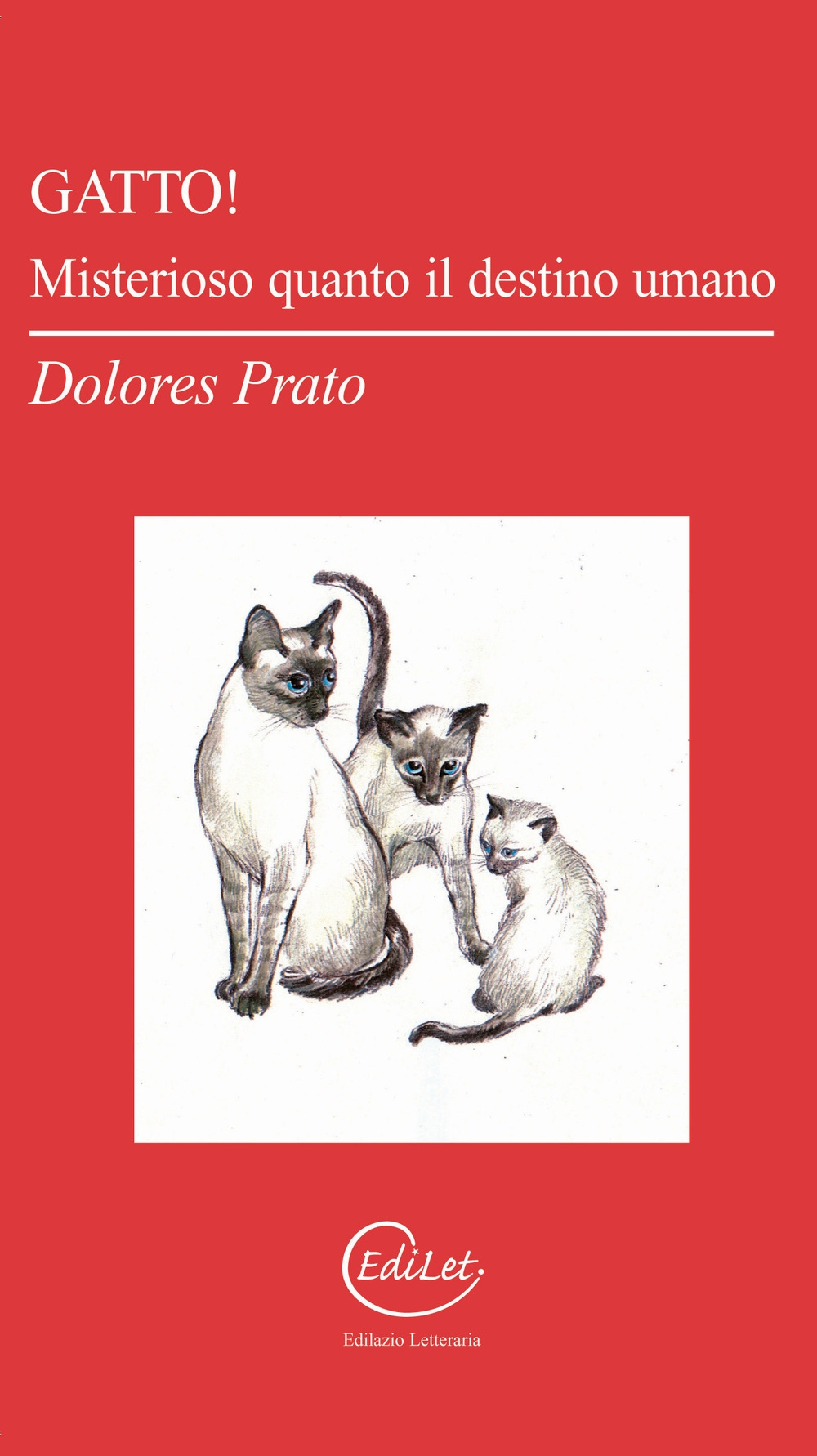 Gatto! Misterioso quanto il destino umano Gatto! Misterioso quanto il destino umano