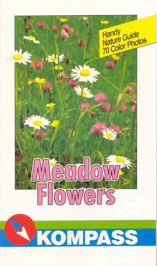 Meadow flowers Meadow flowers