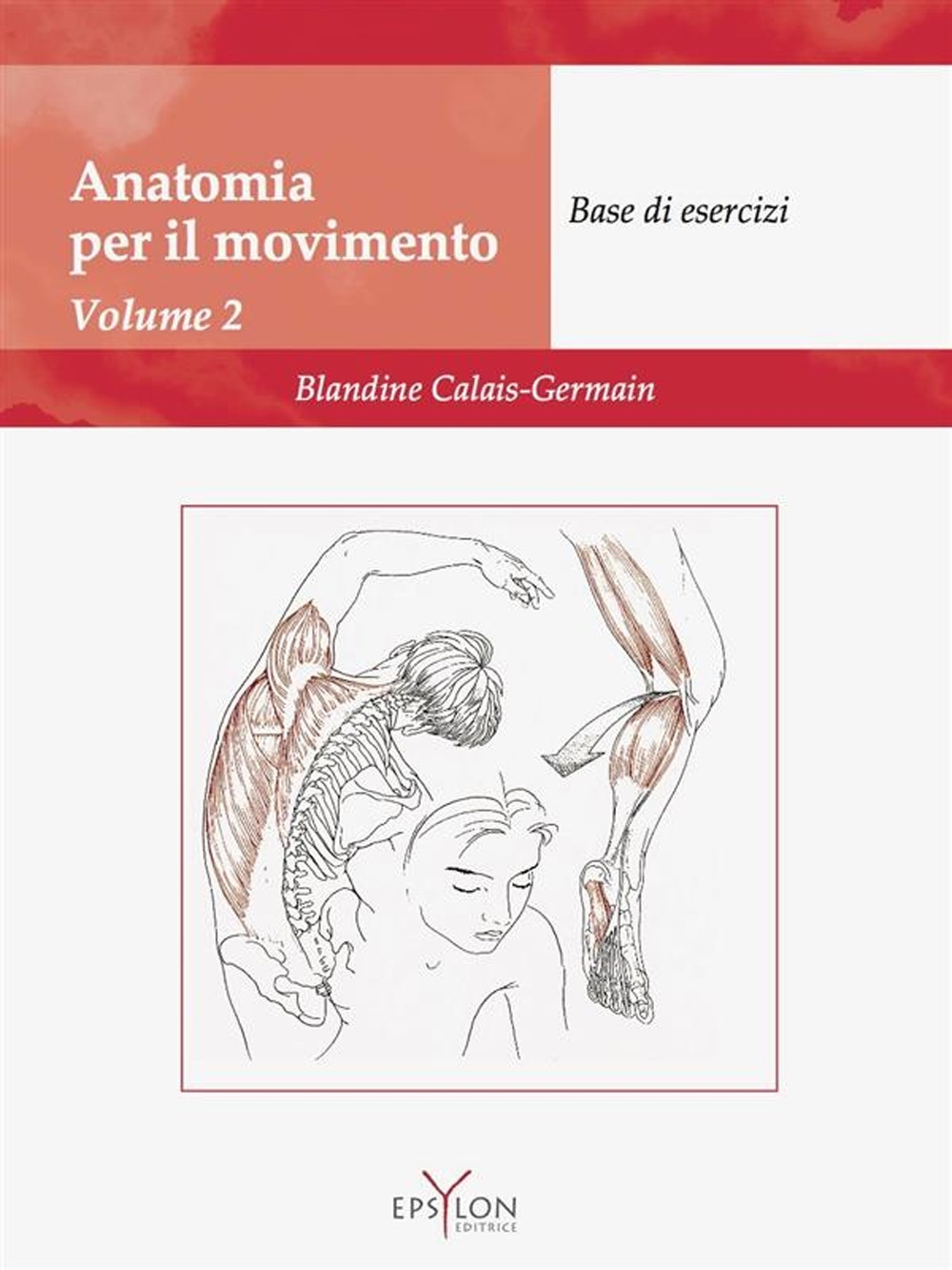 Anatomia del movimento. Vol. 2: Base di esercizi Anatomia del movimento. Vol. 2: Base di esercizi