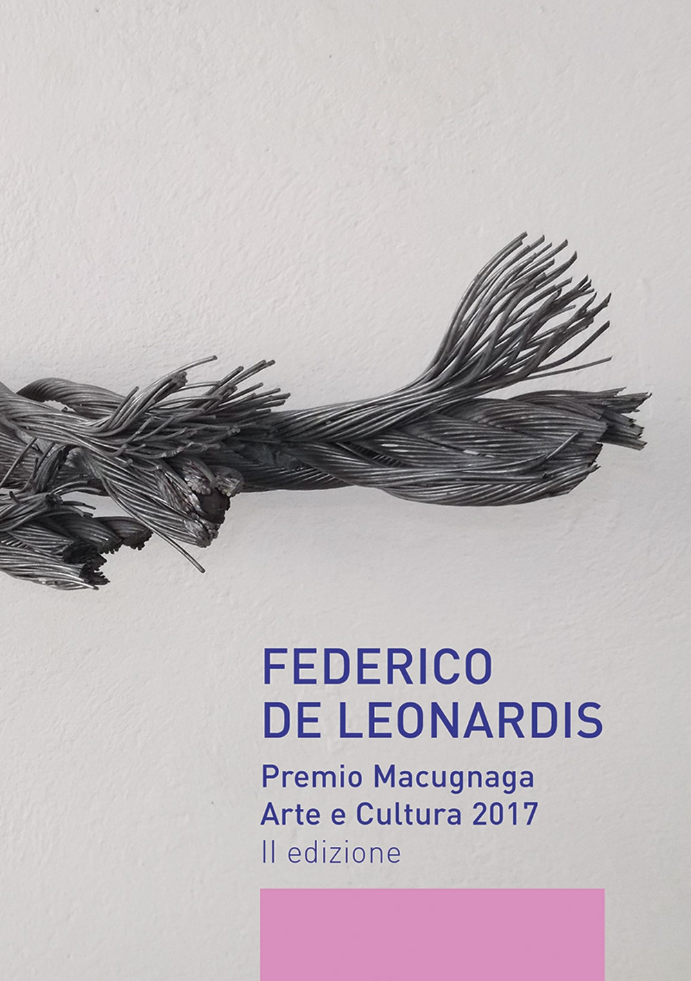 Federico De Leonardis. Premio Macugnaga arte e cultura 2017 Federico De Leonardis. Premio Macugnaga arte e cultura 2017