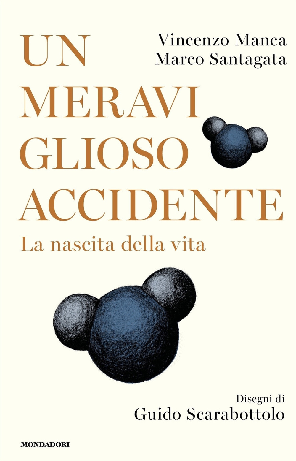 Un meraviglioso accidente. La nascita della vita Un meraviglioso accidente. La nascita della vita