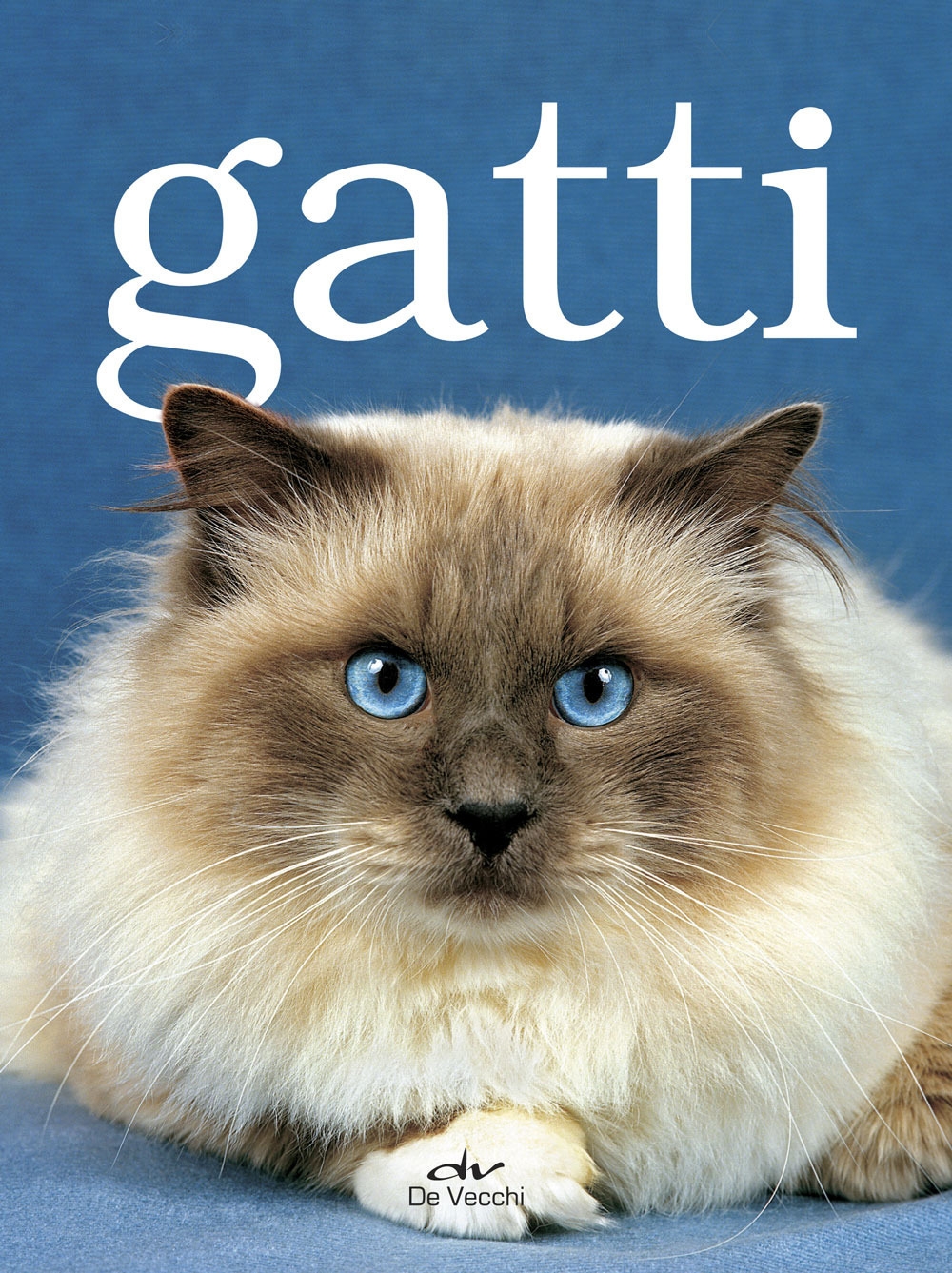 Gatti Gatti