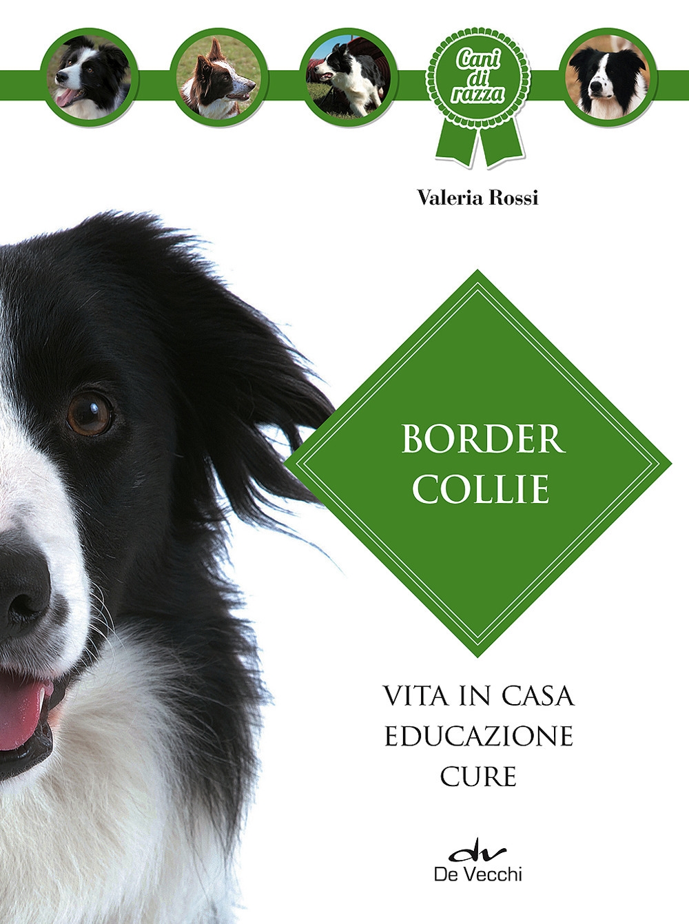 Border collie Border collie