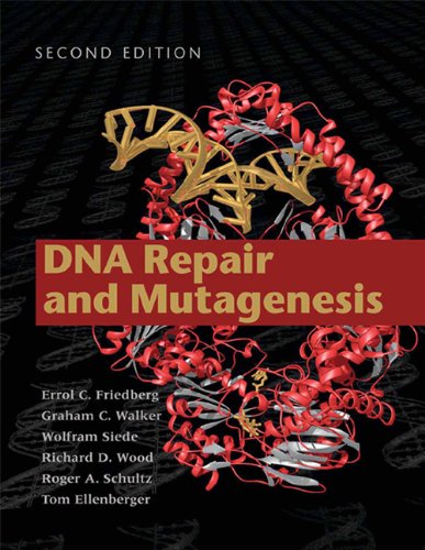 Dna Repair and Mutagenesis Dna Repair and Mutagenesis