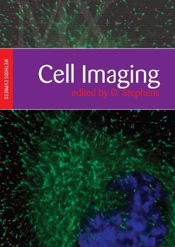 Cell Imaging Cell Imaging