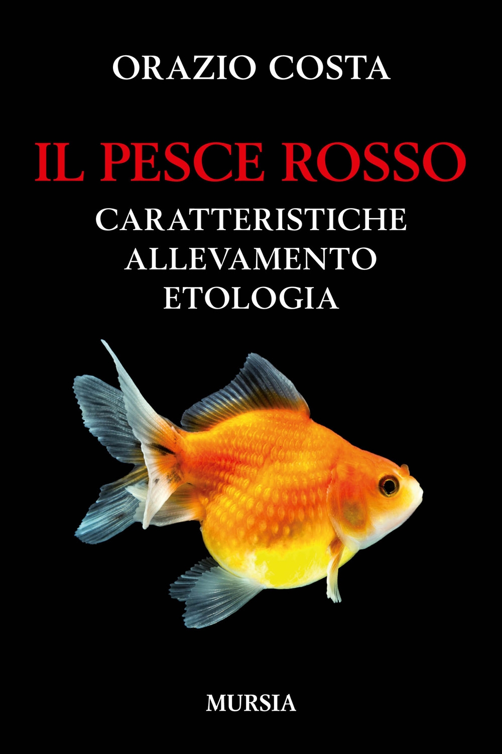 Il pesce rosso. Caratteristiche, allevamento, etologia Il pesce rosso. Caratteristiche, allevamento, etologia