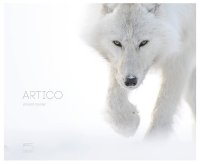 Artico. Con diario di viaggio