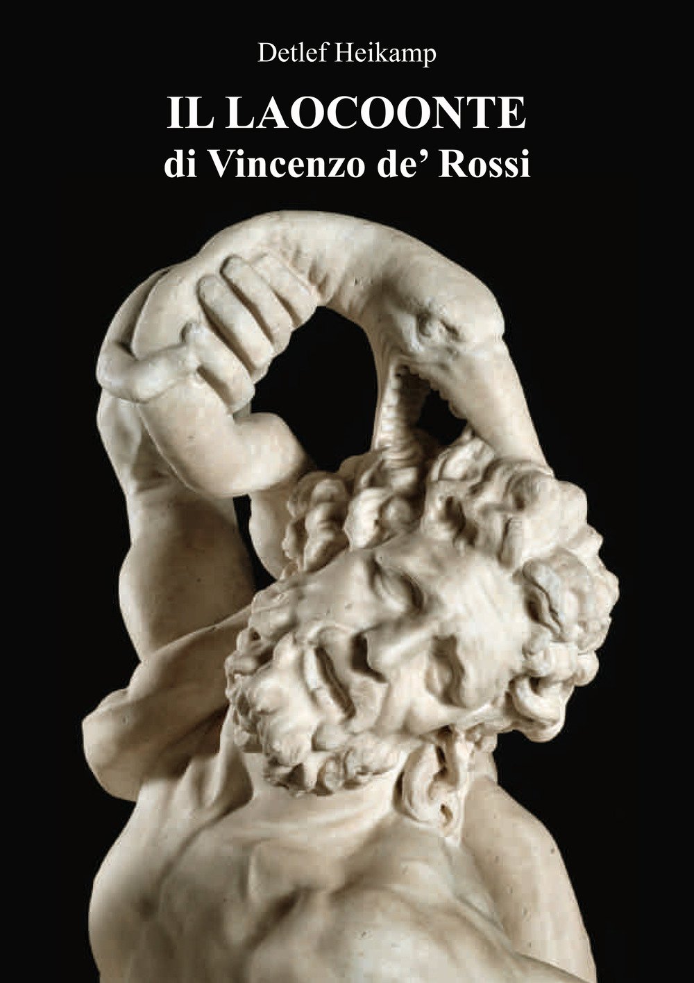 Il Laocoonte di Vincenzo de' Rossi Il Laocoonte di Vincenzo de' Rossi