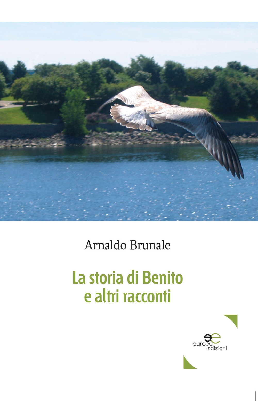 La storia di Benito e altri racconti La storia di Benito e altri racconti