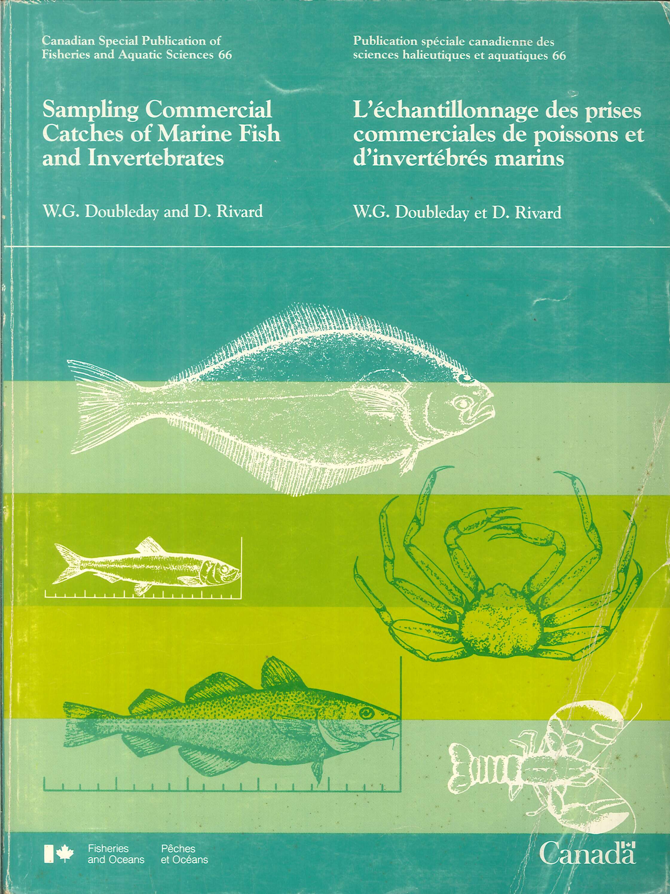 Sampling Commercial Catches of Marine Fish and Invertebrates. L'échantillonnage des prises commerciales des poissons et d'invertébrés marins Sampling Commercial Catches of Marine Fish and Invertebrates. L'échantillonnage des prises commerciales des poissons et d'invertébrés marins