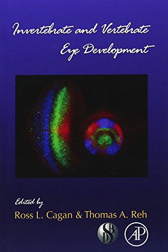 Invertebrate and Vertebrate Eye Development: 93 Invertebrate and Vertebrate Eye Development: 93