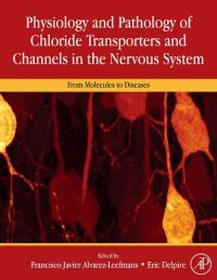 Physiology and Pathology of Chloride Transporters and Channels in the Nervous System: From Molecules To Diseases
