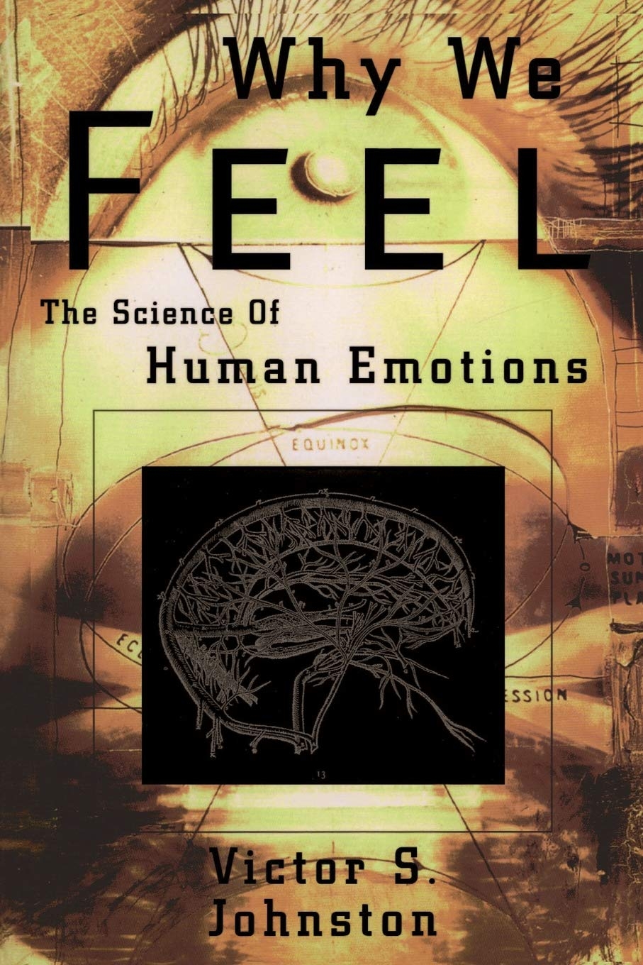 Why We Feel Why We Feel