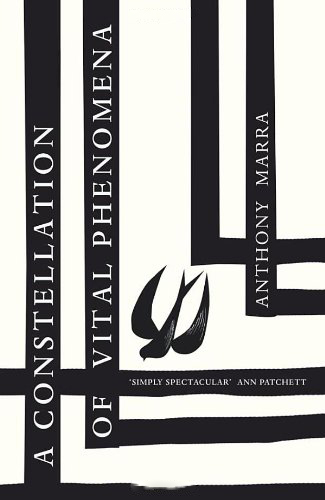 Constellation of Vital Phenomena Constellation of Vital Phenomena