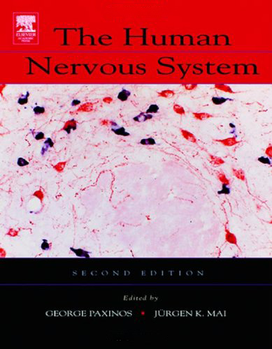 The Human Nervous System The Human Nervous System