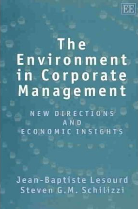 The Environment in Corporate Management: New Directions and Economic Insights The Environment in Corporate Management: New Directions and Economic Insights