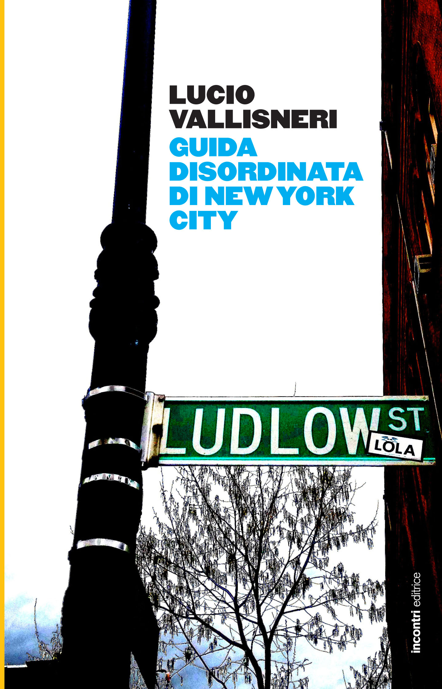 Guida disordinata di New York city Guida disordinata di New York city