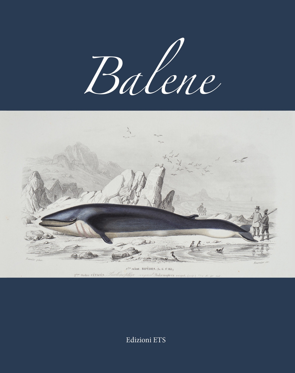 Balene Balene