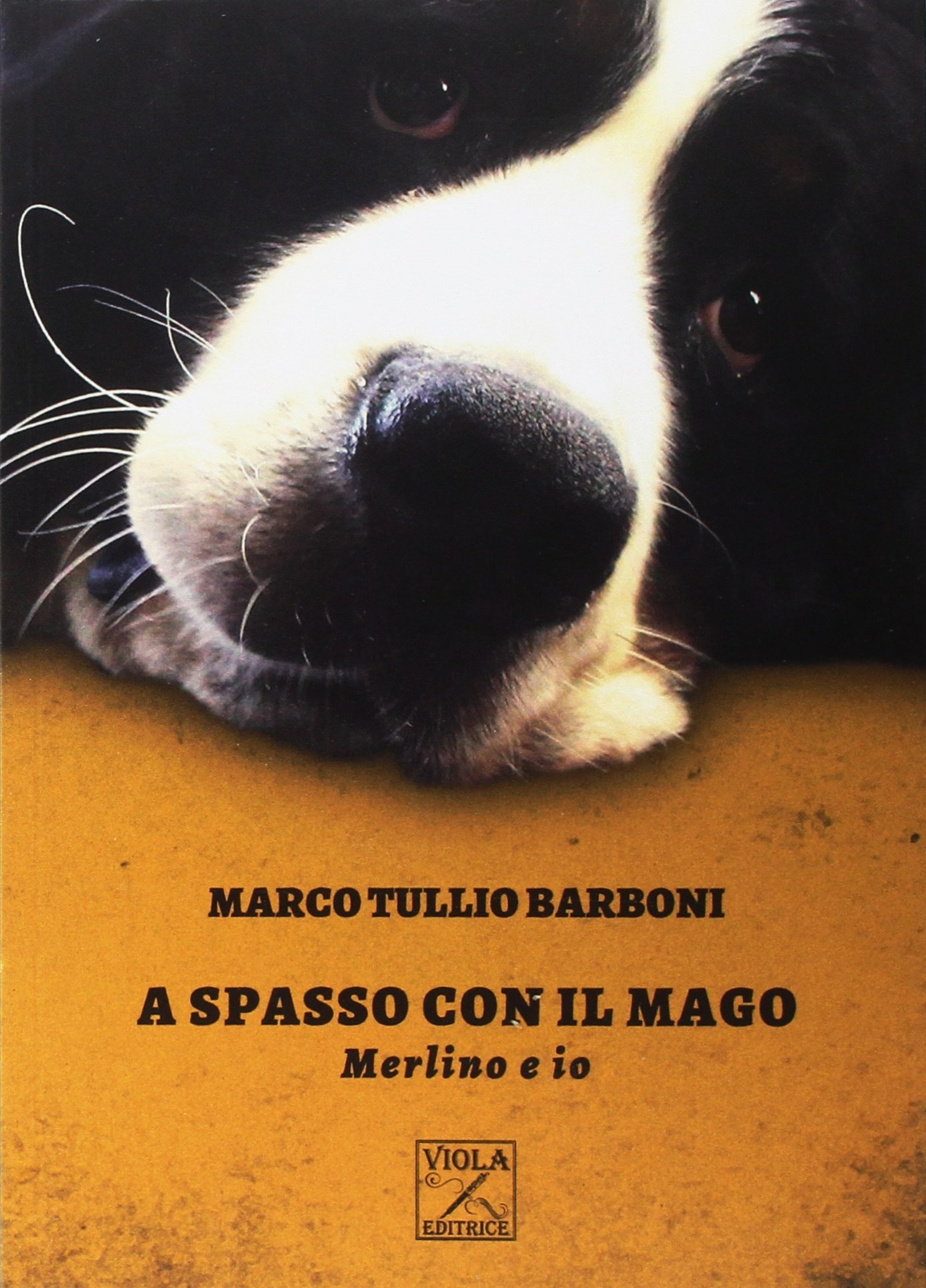 A Spasso con il Mago. Merlino e io A Spasso con il Mago. Merlino e io