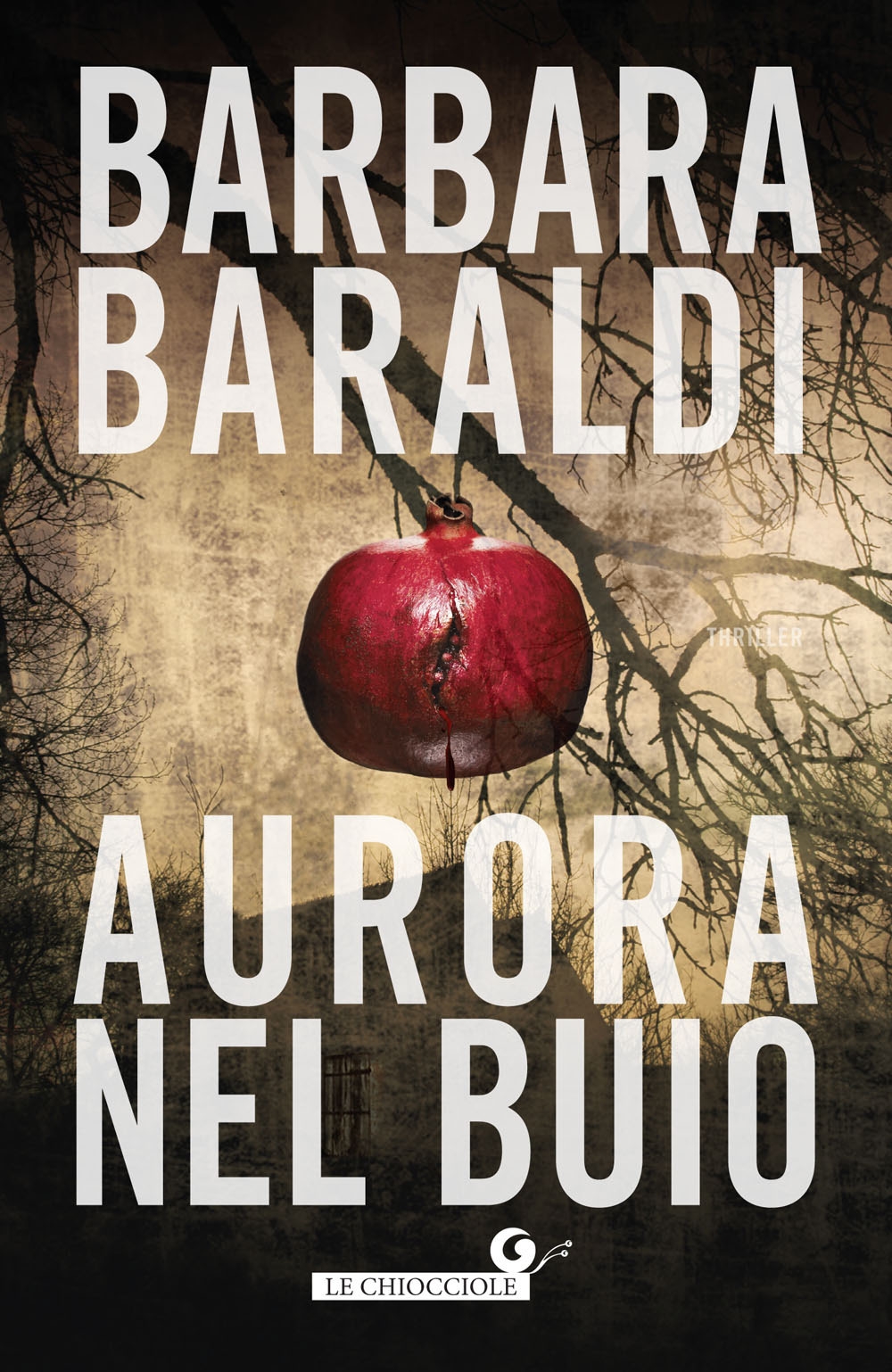 Aurora nel buio Aurora nel buio