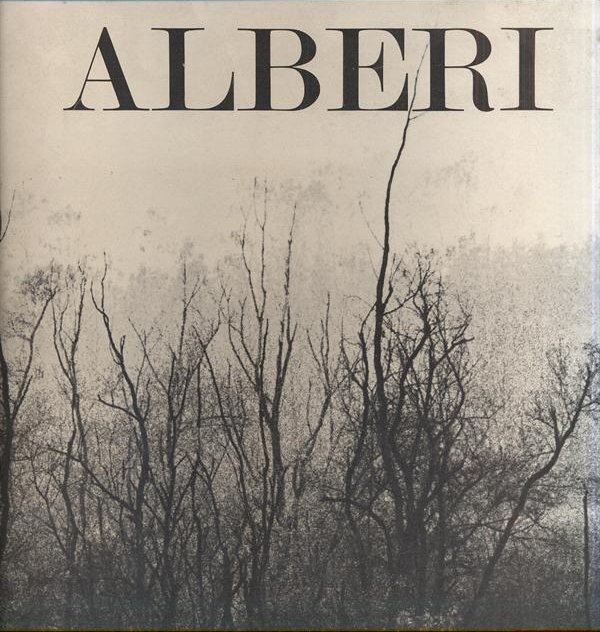 Alberi Alberi