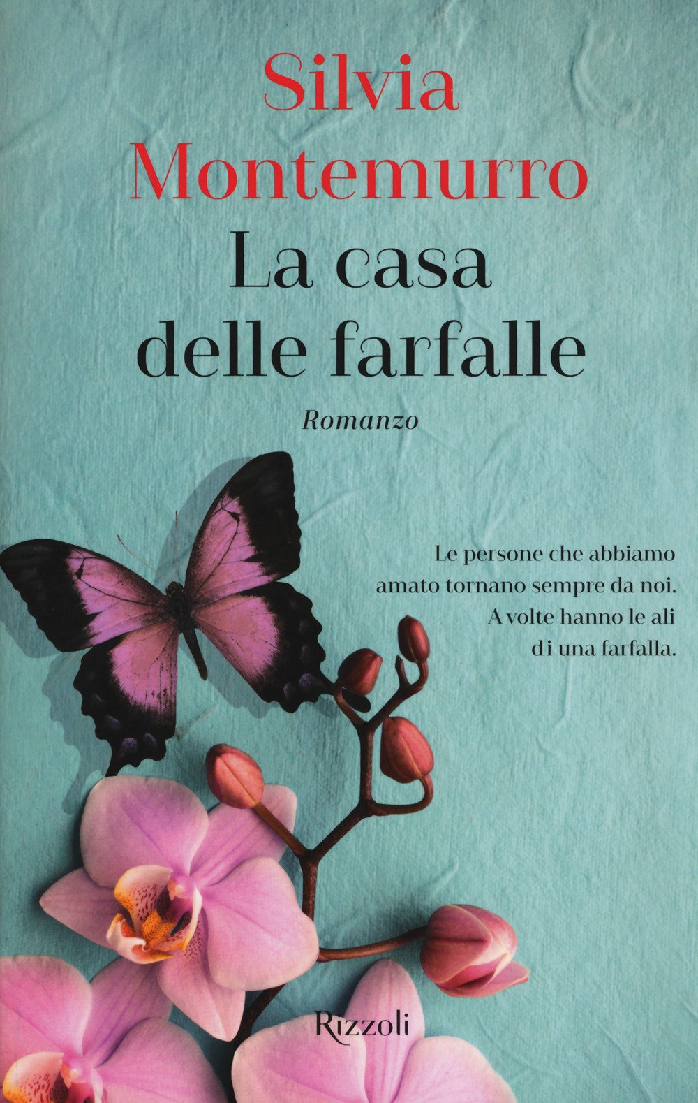 La casa delle farfalle La casa delle farfalle