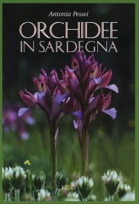 Orchidee in Sardegna.
