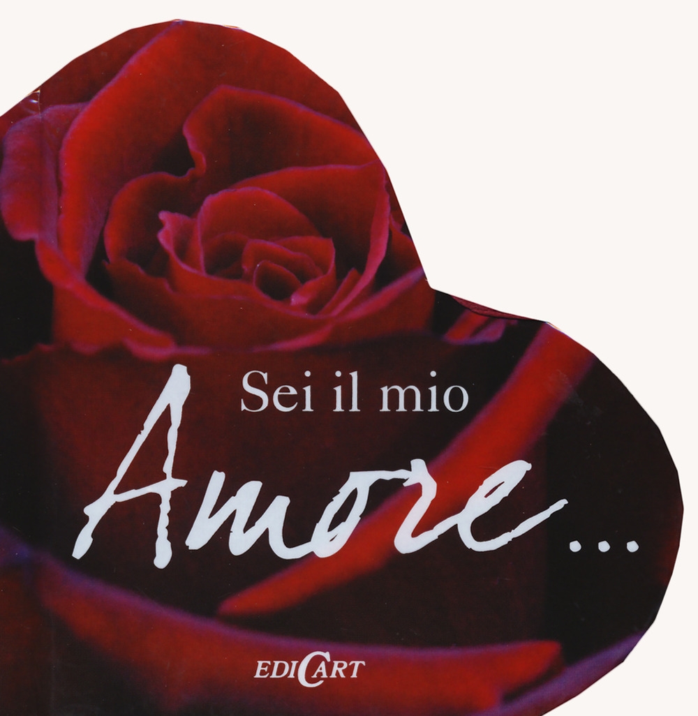 Sei il mio amore Sei il mio amore