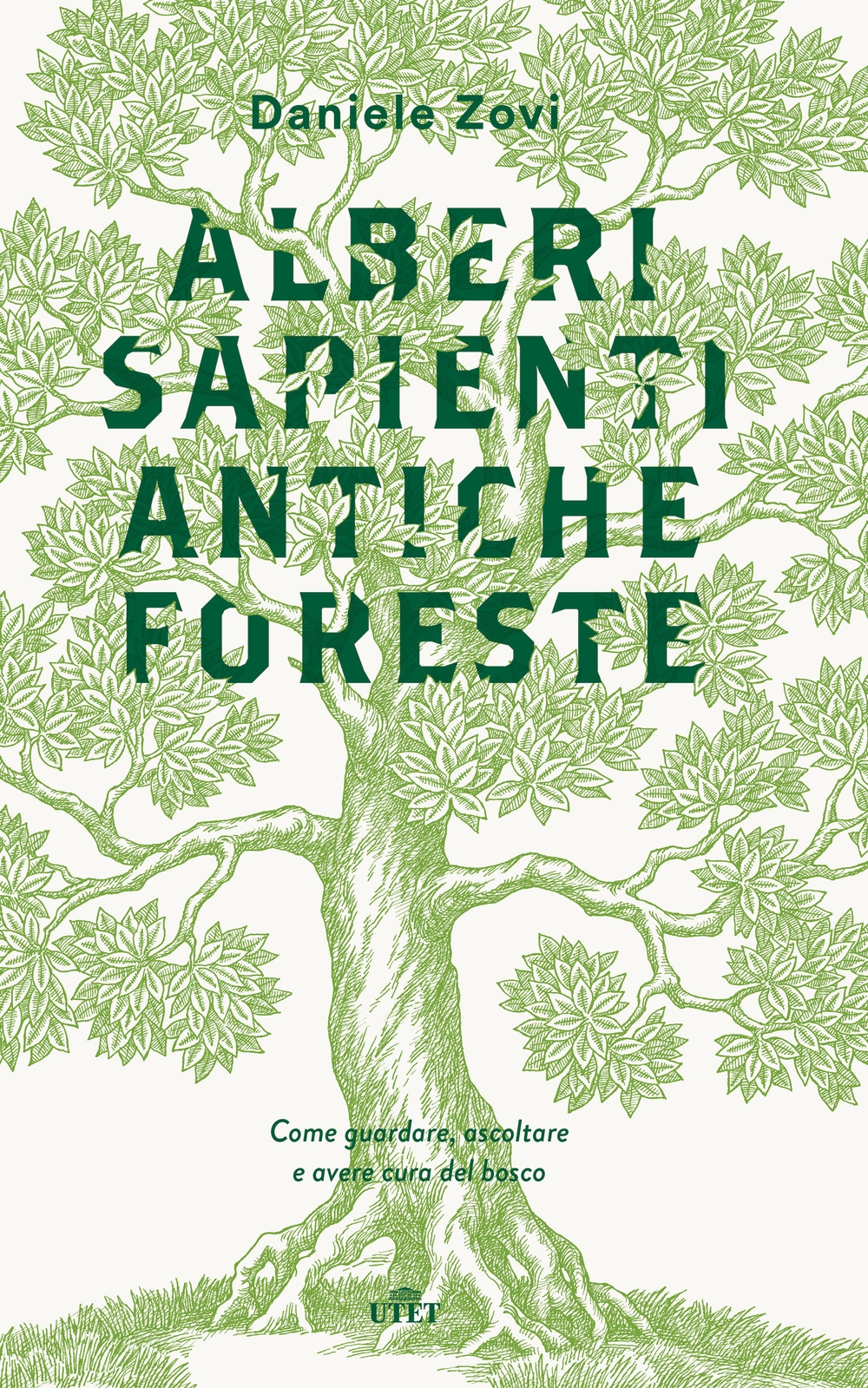 Alberi sapienti antiche foreste. Come guardare, ascoltare e avere cura del bosco. Con ebook Alberi sapienti antiche foreste. Come guardare, ascoltare e avere cura del bosco. Con ebook