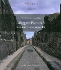 Rileggere Pompei V. L'insula 7 della Regio IX. 