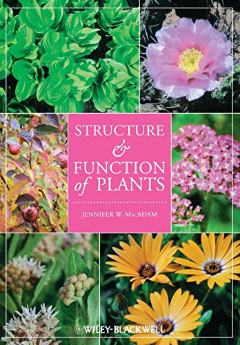 Structure and Function of Plants Structure and Function of Plants