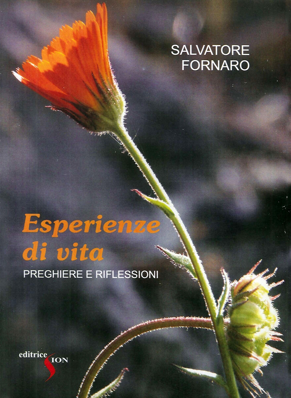 Esperienze di vita. Preghiere e riflessioni Esperienze di vita. Preghiere e riflessioni
