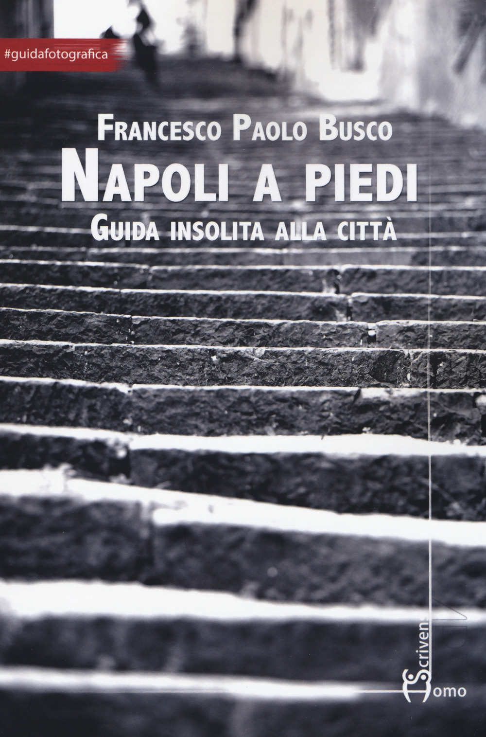 Napoli a piedi. Guida insolita alla città Napoli a piedi. Guida insolita alla città